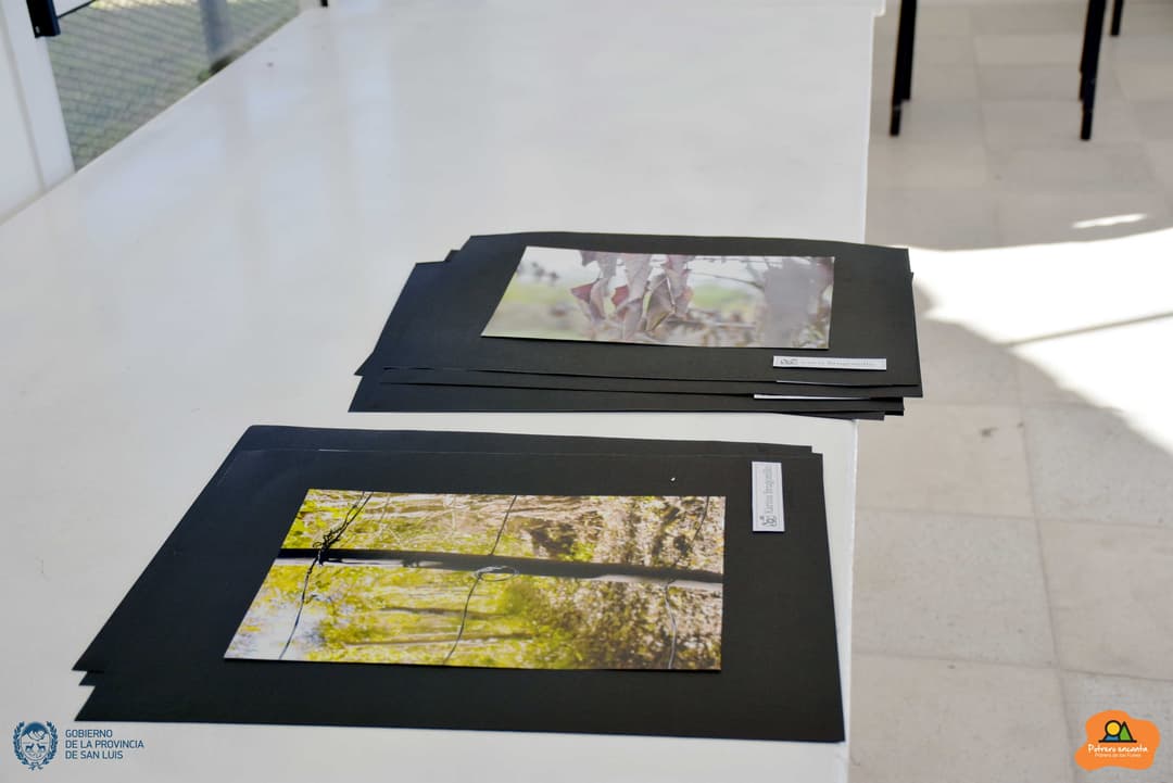 Taller de fotografia